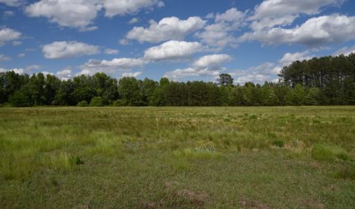 Photo #7 of SOLD property in Off Holland Road, Greenville, NC 20.0 acres