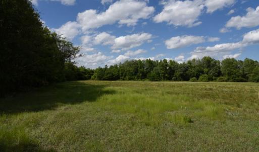 Photo #9 of Off Holland Road, Greenville, NC 20.0 acres
