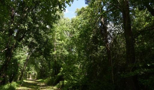 Photo #11 of Off Holland Road, Greenville, NC 20.0 acres