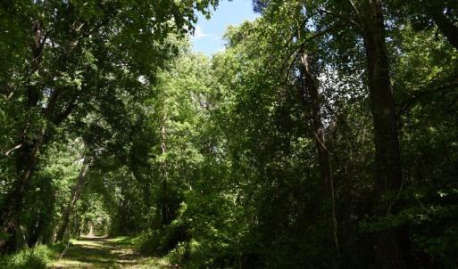 Photo #11 of SOLD property in Off Holland Road, Greenville, NC 20.0 acres
