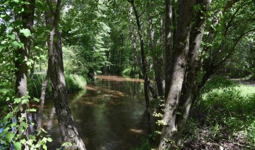 Photo #12 of SOLD property in Off Holland Road, Greenville, NC 20.0 acres