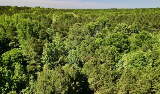 Photo #2 of SOLD property in Off Agora Lane, Louisburg, NC 6.0 acres