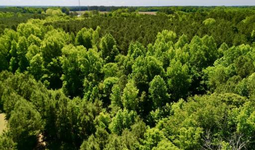 Photo #11 of SOLD property in Off Agora Lane, Louisburg, NC 6.0 acres