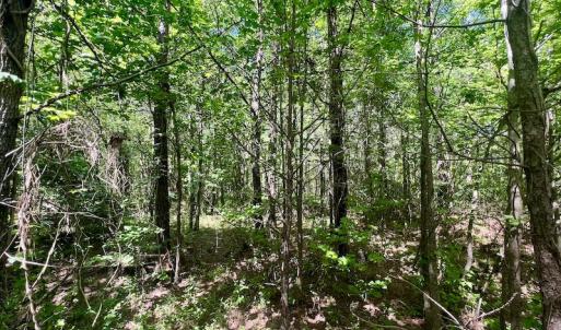 Photo #16 of SOLD property in Off Agora Lane, Louisburg, NC 6.0 acres