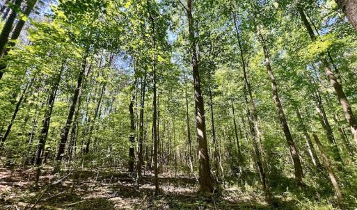 Photo #18 of SOLD property in Off Agora Lane, Louisburg, NC 6.0 acres