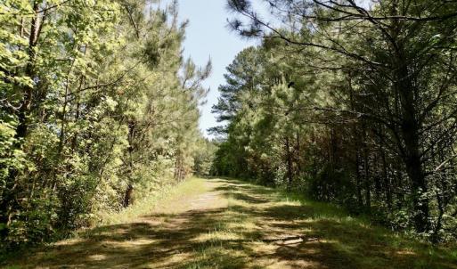 Photo #20 of SOLD property in Off Agora Lane, Louisburg, NC 6.0 acres