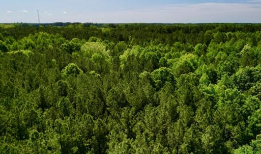 Photo #3 of SOLD property in Off Agora Lane, Louisburg, NC 6.0 acres