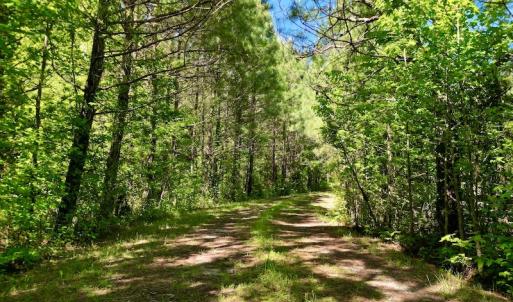 Photo #21 of SOLD property in Off Agora Lane, Louisburg, NC 6.0 acres