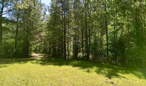 Photo #22 of SOLD property in Off Agora Lane, Louisburg, NC 6.0 acres