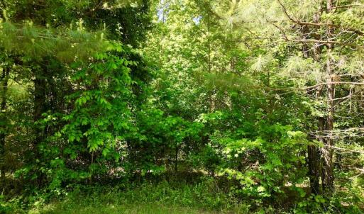 Photo #23 of SOLD property in Off Agora Lane, Louisburg, NC 6.0 acres