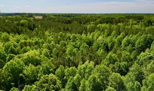 Photo #4 of SOLD property in Off Agora Lane, Louisburg, NC 6.0 acres