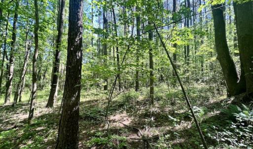 Photo #7 of SOLD property in Off Agora Lane, Louisburg, NC 6.0 acres