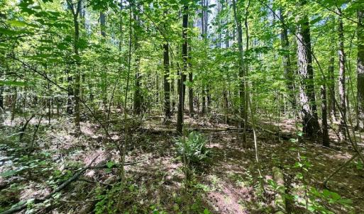 Photo #8 of SOLD property in Off Agora Lane, Louisburg, NC 6.0 acres
