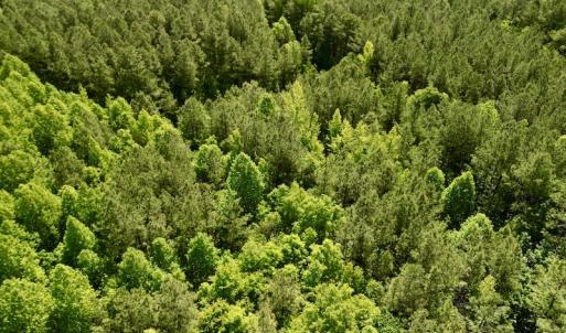 Photo #9 of SOLD property in Off Agora Lane, Louisburg, NC 6.0 acres