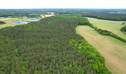 Photo #5 of Off Airport Dr, Melfa, VA 88.2 acres