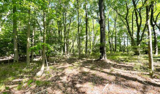 Photo #8 of Off Airport Dr, Melfa, VA 88.2 acres