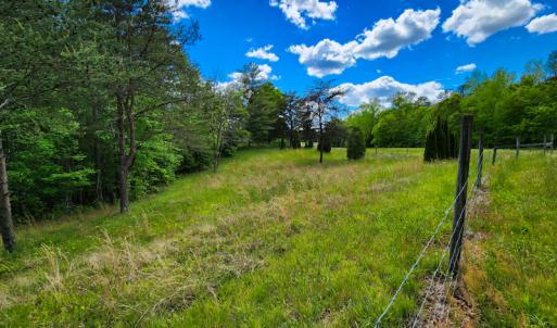 Photo #10 of SOLD property in NC HWY 700, Pelham, NC 14.2 acres