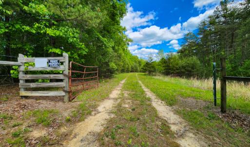 Photo #11 of SOLD property in NC HWY 700, Pelham, NC 14.2 acres