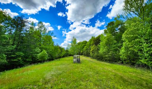 Photo #12 of SOLD property in NC HWY 700, Pelham, NC 14.2 acres