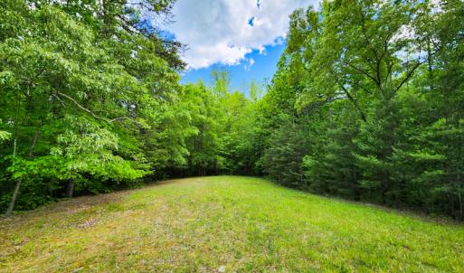 Photo #15 of SOLD property in NC HWY 700, Pelham, NC 14.2 acres