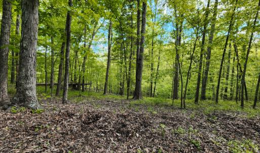 Photo #39 of SOLD property in NC HWY 700, Pelham, NC 14.2 acres