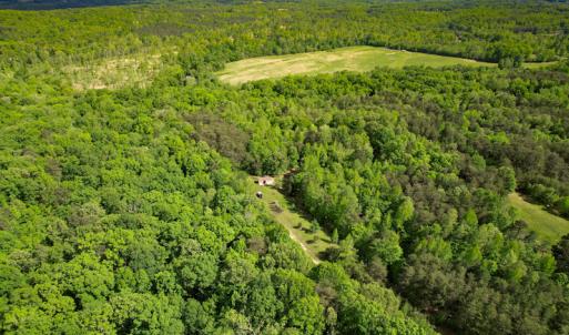 Photo #6 of SOLD property in NC HWY 700, Pelham, NC 14.2 acres