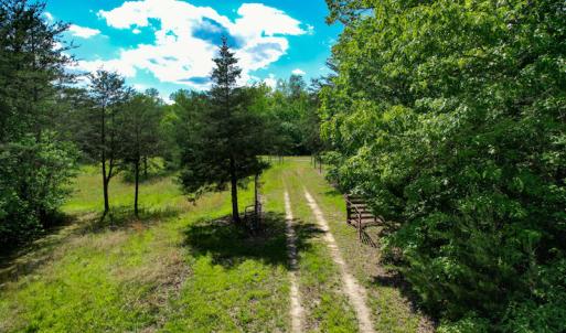 Photo #8 of SOLD property in NC HWY 700, Pelham, NC 14.2 acres