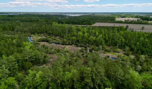 Photo #2 of SOLD property in Off NC 304 Hwy, Bayboro, NC 4.3 acres