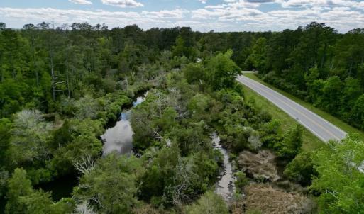 Photo #11 of SOLD property in Off NC 304 Hwy, Bayboro, NC 4.3 acres