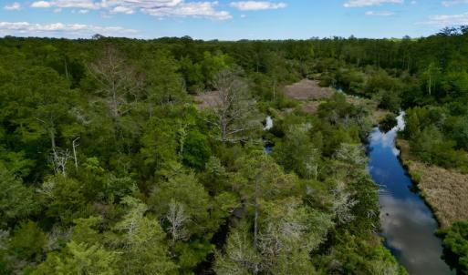 Photo #12 of SOLD property in Off NC 304 Hwy, Bayboro, NC 4.3 acres