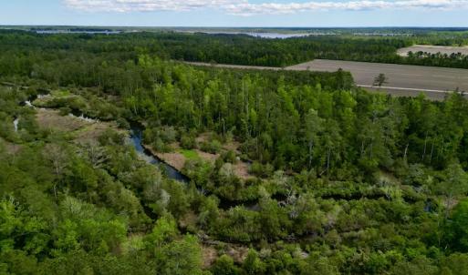 Photo #3 of SOLD property in Off NC 304 Hwy, Bayboro, NC 4.3 acres