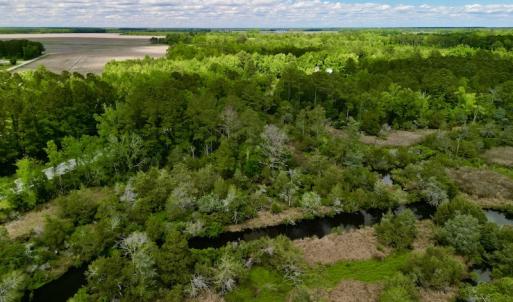Photo #5 of SOLD property in Off NC 304 Hwy, Bayboro, NC 4.3 acres