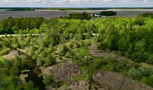 Photo #6 of SOLD property in Off NC 304 Hwy, Bayboro, NC 4.3 acres