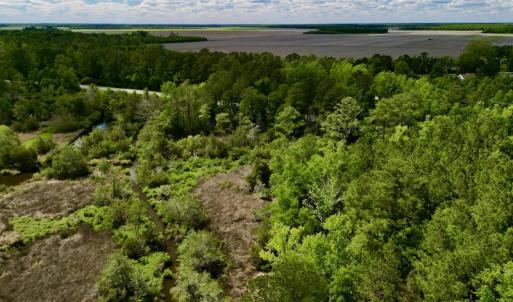 Photo #7 of SOLD property in Off NC 304 Hwy, Bayboro, NC 4.3 acres