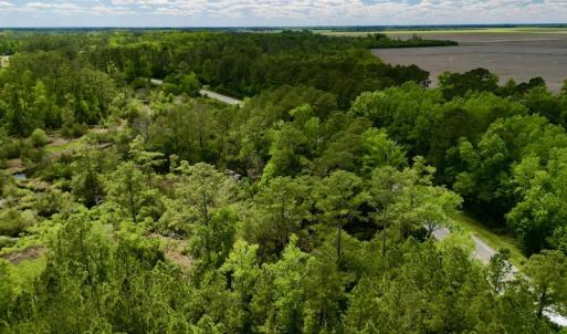 Photo #8 of SOLD property in Off NC 304 Hwy, Bayboro, NC 4.3 acres