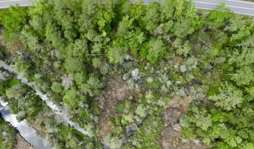 Photo #9 of SOLD property in Off NC 304 Hwy, Bayboro, NC 4.3 acres