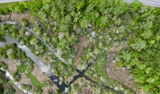 Photo #10 of SOLD property in Off NC 304 Hwy, Bayboro, NC 4.3 acres