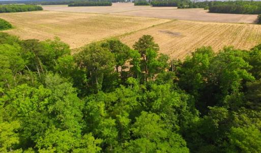 Photo #9 of SOLD property in Off Dailey Road, Camden, NC 89.7 acres