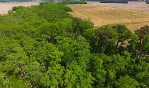 Photo #7 of SOLD property in Off Dailey Road, Camden, NC 89.7 acres
