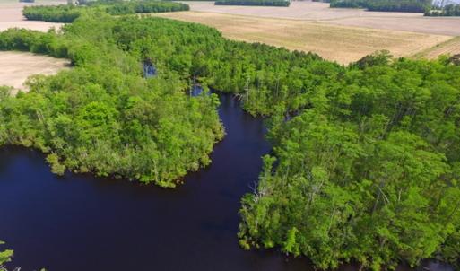 Photo #5 of SOLD property in Off Dailey Road, Camden, NC 89.7 acres