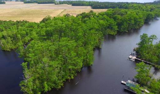 Photo #6 of SOLD property in Off Dailey Road, Camden, NC 89.7 acres