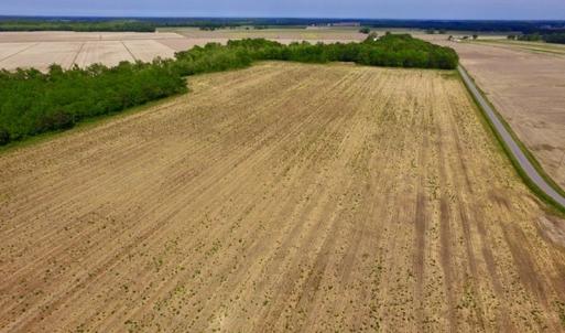 Photo #11 of SOLD property in Off Dailey Road, Camden, NC 89.7 acres
