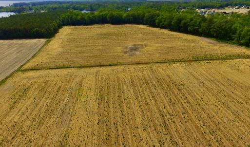 Photo #12 of SOLD property in Off Dailey Road, Camden, NC 89.7 acres