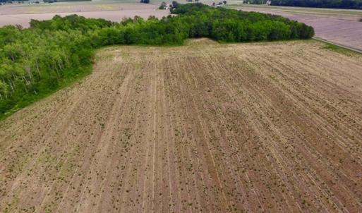Photo #15 of SOLD property in Off Dailey Road, Camden, NC 89.7 acres