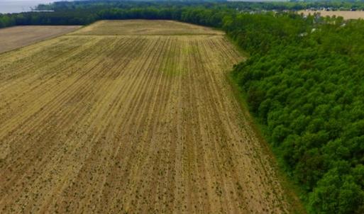 Photo #13 of SOLD property in Off Dailey Road, Camden, NC 89.7 acres