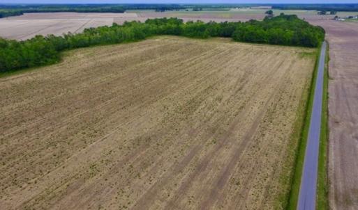 Photo #14 of SOLD property in Off Dailey Road, Camden, NC 89.7 acres
