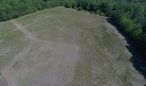 Photo #3 of SOLD property in Off Holland Road, Greenville, NC 20.0 acres