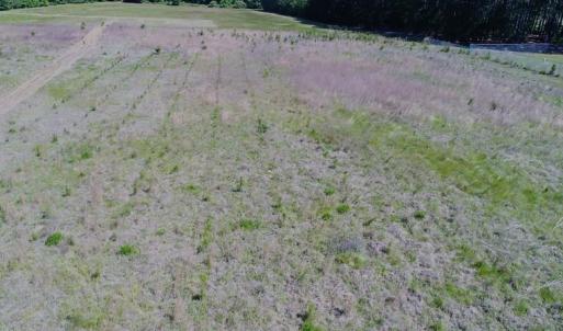 Photo #4 of SOLD property in Off Holland Road, Greenville, NC 20.0 acres