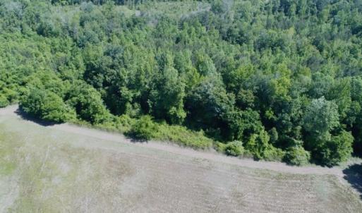 Photo #10 of SOLD property in Off Holland Road, Greenville, NC 20.0 acres