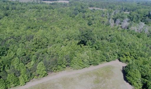 Photo #15 of SOLD property in Off Holland Road, Greenville, NC 20.0 acres